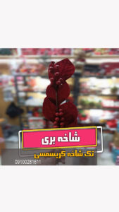 شاخه بری گیلاس آلبالو برای کریسمس قرمز فروش عمده و تک