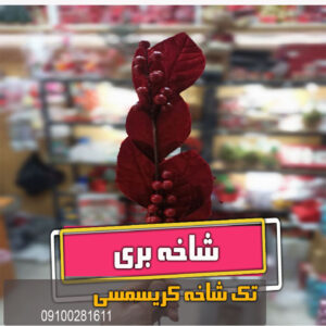 شاخه بری گیلاس آلبالو برای کریسمس قرمز فروش عمده و تک